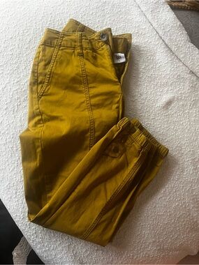 CAbi Mustard Yellow Jogger Pant